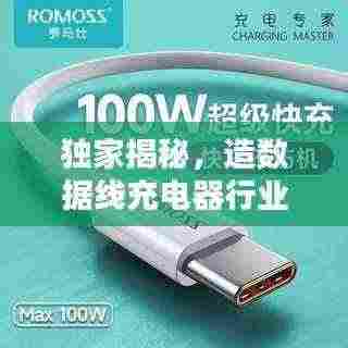独家揭秘,造数据线充电器行业的公司排名!