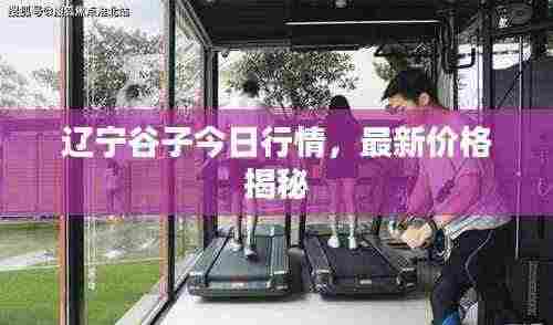 辽宁谷子今日行情,最新价格揭秘