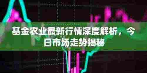 基金农业最新行情深度解析,今日市场走势揭秘