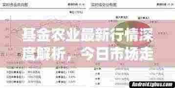 基金农业最新行情深度解析,今日市场走势揭秘