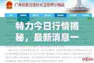 特力今日行情揭秘,最新消息一览