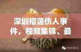 深圳榴莲伤人事件，视频集锦、最新报道与深度剖析