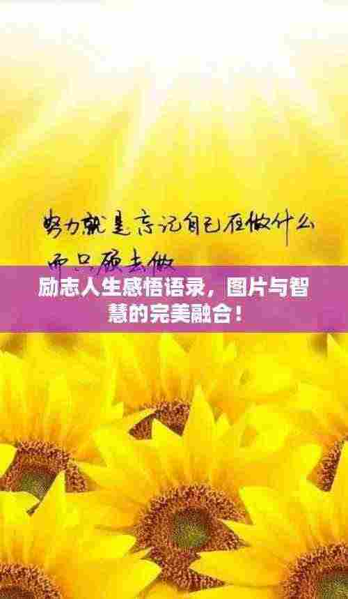 励志人生感悟语录,图片与智慧的完美融合!