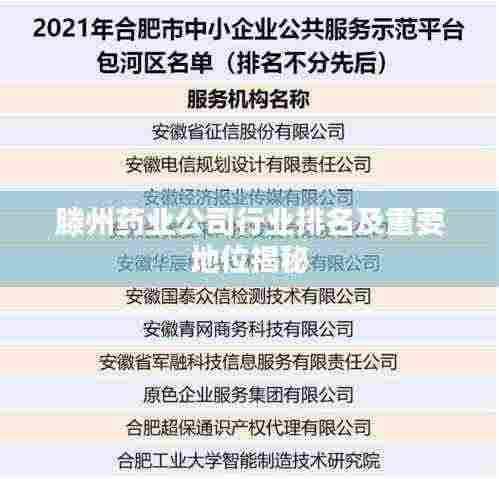 滕州药业公司行业排名及重要地位揭秘