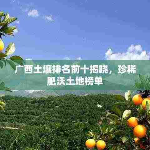 广西土壤排名前十揭晓,珍稀肥沃土地榜单