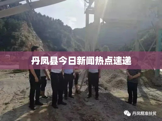 丹凤县今日新闻热点速递