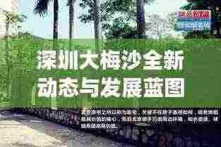 深圳大梅沙全新动态与发展蓝图揭秘，今日最新消息速递！