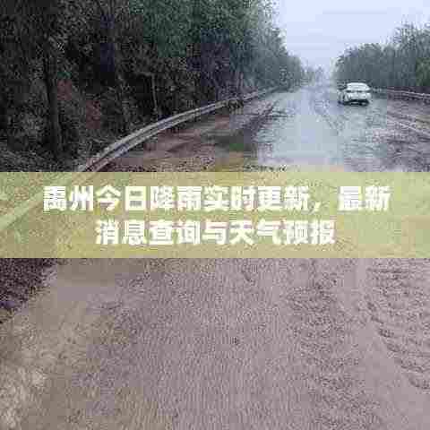 禹州今日降雨实时更新,最新消息查询与天气预报