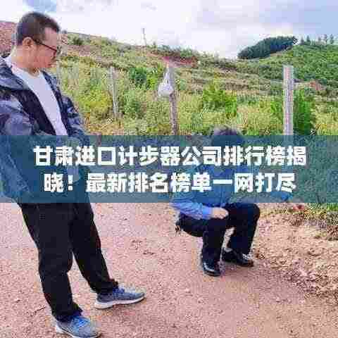 甘肃进口计步器公司排行榜揭晓!最新排名榜单一网打尽