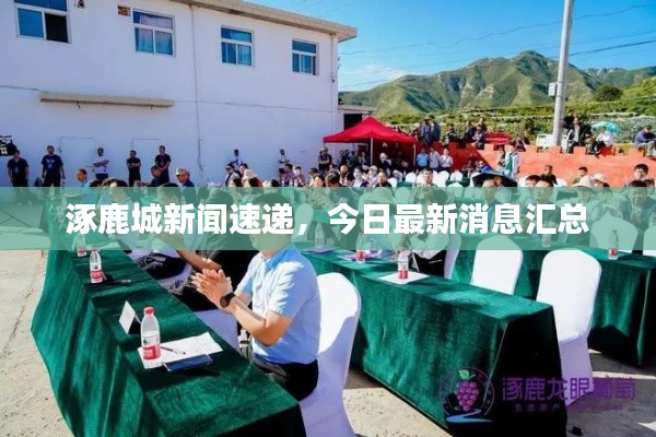 涿鹿城新闻速递,今日最新消息汇总