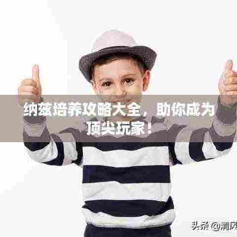 纳兹培养攻略大全,助你成为顶尖玩家!