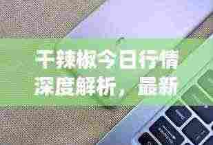 干辣椒今日行情深度解析,最新市场动态一网打尽!