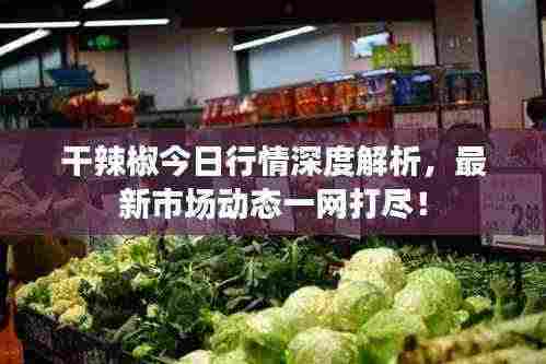 干辣椒今日行情深度解析,最新市场动态一网打尽!