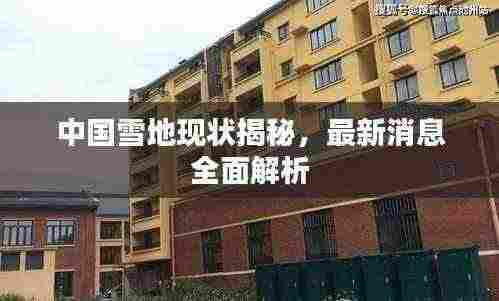 中国雪地现状揭秘,最新消息全面解析