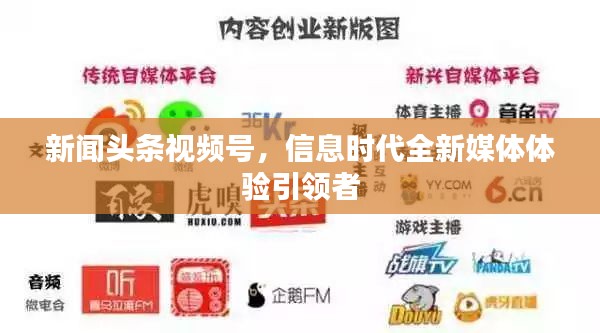 新闻头条视频号,信息时代全新媒体体验引领者