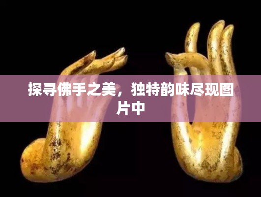 探寻佛手之美,独特韵味尽现图片中