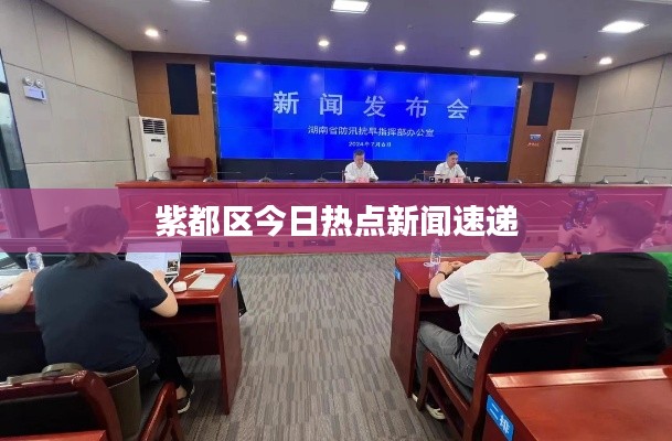 紫都区今日热点新闻速递