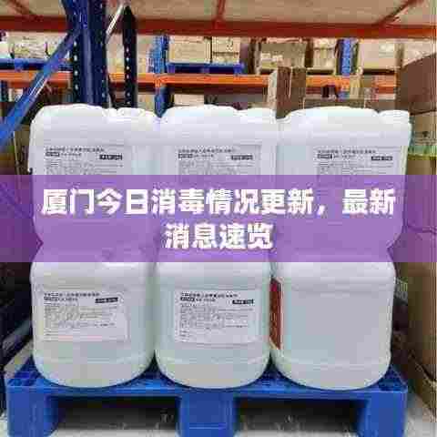 厦门今日消毒情况更新,最新消息速览