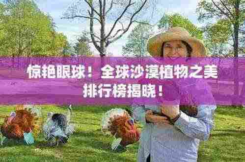 惊艳眼球!全球沙漠植物之美排行榜揭晓!