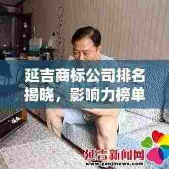 延吉商标公司排名揭晓，影响力榜单上的佼佼者