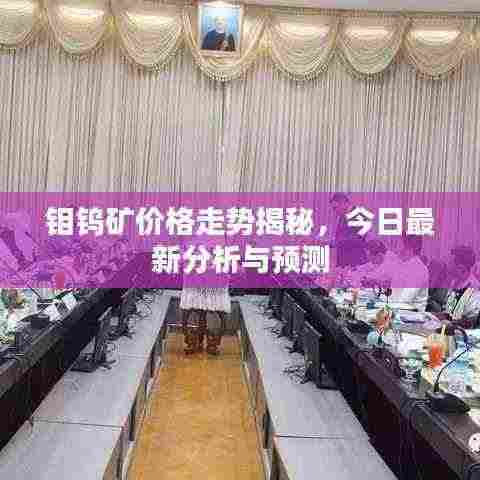 钼钨矿价格走势揭秘,今日最新分析与预测