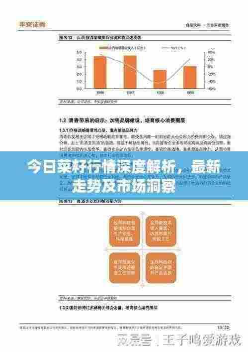 今日菜籽行情深度解析,最新走势及市场洞察