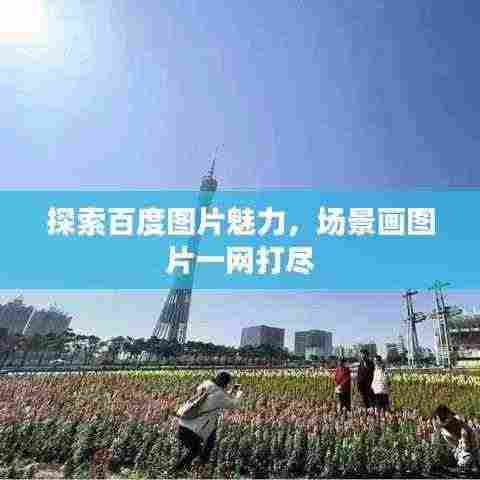 探索百度图片魅力,场景画图片一网打尽