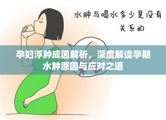 孕妇浮肿成因解析,深度解读孕期水肿原因与应对之道