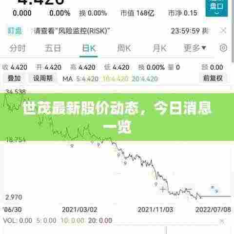 世茂最新股价动态,今日消息一览