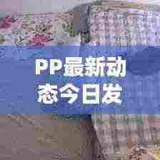 PP最新动态今日发布