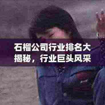 石榴公司行业排名大揭秘，行业巨头风采与未来趋势展望