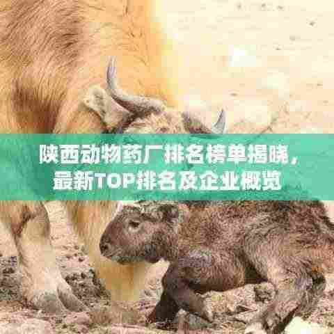 陕西动物药厂排名榜单揭晓,最新TOP排名及企业概览