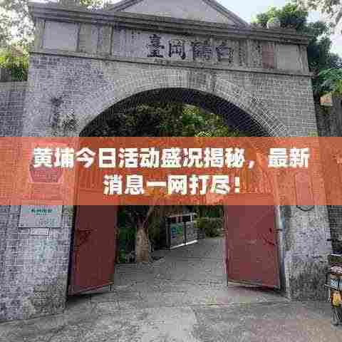黄埔今日活动盛况揭秘，最新消息一网打尽！
