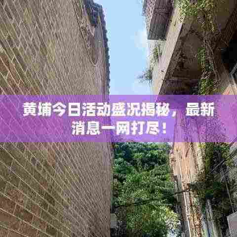 黄埔今日活动盛况揭秘,最新消息一网打尽!