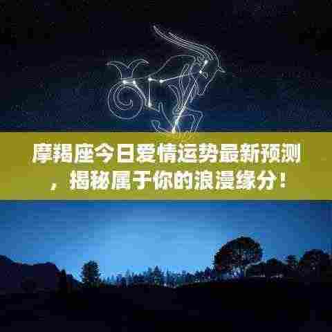摩羯座今日爱情运势最新预测，揭秘属于你的浪漫缘分！