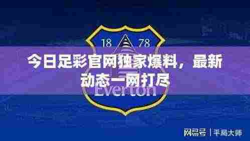 今日足彩官网独家爆料,最新动态一网打尽