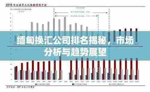 缅甸换汇公司排名揭秘，市场分析与趋势展望