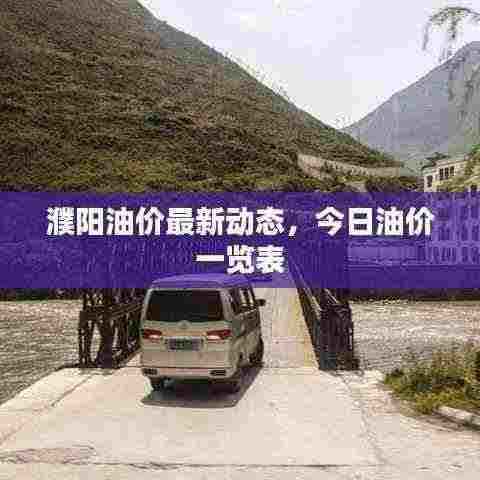 濮阳油价最新动态，今日油价一览表