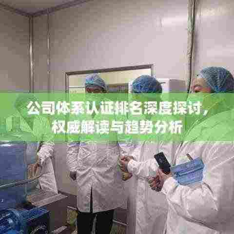 公司体系认证排名深度探讨,权威解读与趋势分析