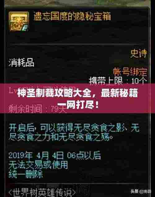 神圣制裁攻略大全,最新秘籍一网打尽!