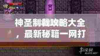 神圣制裁攻略大全,最新秘籍一网打尽!