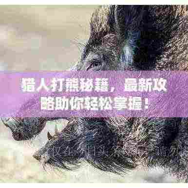 猎人打熊秘籍,最新攻略助你轻松掌握!