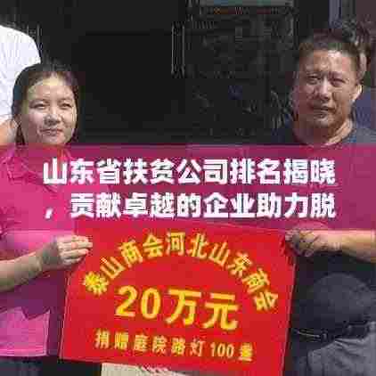 山东省扶贫公司排名揭晓,贡献卓越的企业助力脱贫攻坚!