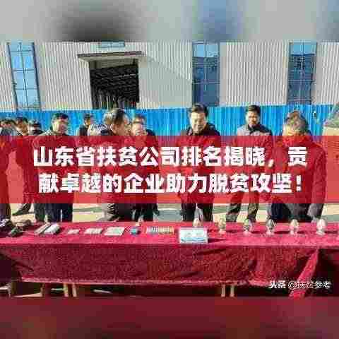 山东省扶贫公司排名揭晓,贡献卓越的企业助力脱贫攻坚!