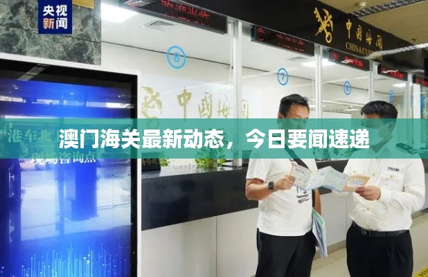 澳门海关最新动态,今日要闻速递