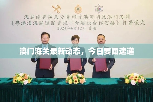 澳门海关最新动态,今日要闻速递