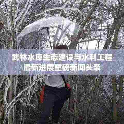 武林水库生态建设与水利工程最新进展重磅新闻头条