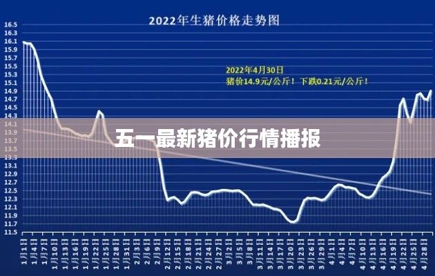 五一最新猪价行情播报