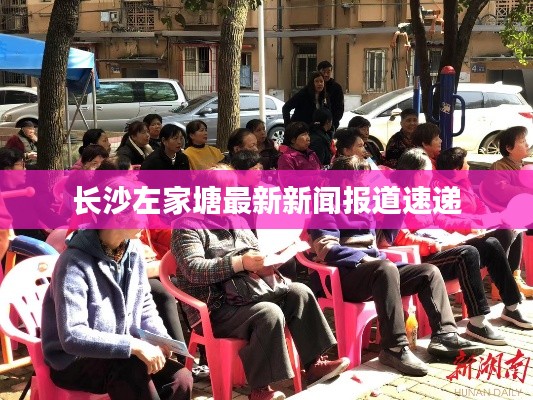 长沙左家塘最新新闻报道速递