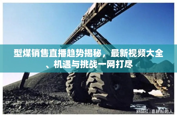 型煤销售直播趋势揭秘,最新视频大全、机遇与挑战一网打尽